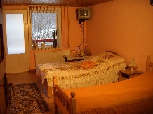 Pensiunea Lazarul - accommodation in  Hateg Country (05)