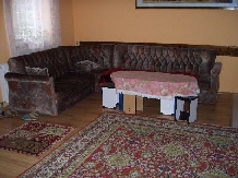 Pensiunea Lazarul - accommodation in  Hateg Country (07)