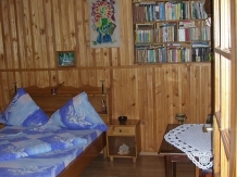 Pensiunea Ulpia Traiana - accommodation in  Hateg Country (07)
