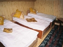 Pensiunea Raul - accommodation in  Hateg Country, Transalpina (04)