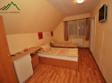 Pensiunea Andreea - accommodation in  Apuseni Mountains (04)