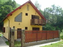 Casa de vacanta Maer - accommodation in  Hateg Country (13)