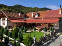 Pensiunea Florina - accommodation in  Hateg Country (01)