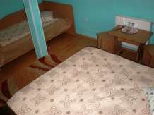 Pensiunea Florina - accommodation in  Hateg Country (02)