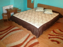 Pensiunea Florina - accommodation in  Hateg Country (03)