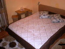 Pensiunea Florina - accommodation in  Hateg Country (09)