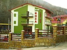 Pensiunea Roza - accommodation in  Buzau Valley (10)