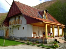 Casa cu Meri - accommodation in  Hateg Country (07)
