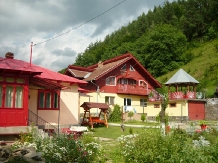 Pensiunea Mioara - accommodation in  Buzau Valley (01)