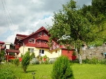 Pensiunea Mioara - alloggio in  Valea Buzaului (05)