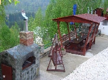 Pensiunea Cara - accommodation in  Hateg Country (02)