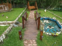 Pensiunea Cara - accommodation in  Hateg Country (03)