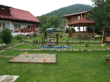 Pensiunea Cara - accommodation in  Hateg Country (16)