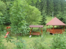 Pensiunea Lazea - accommodation in  Apuseni Mountains, Motilor Country, Arieseni (13)