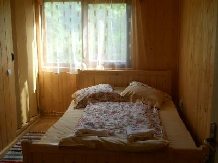 Pensiunea Codru - accommodation in  Apuseni Mountains, Motilor Country, Arieseni (05)
