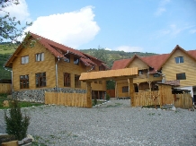 Pensiunea Codru - accommodation in  Apuseni Mountains, Motilor Country, Arieseni (18)