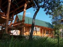 Pensiunea Adina - accommodation in  Maramures Country (13)