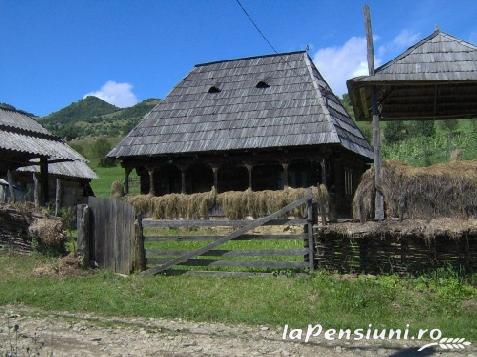 Pensiunea Adriana - accommodation in  Maramures Country (Surrounding)