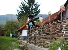 Pensiunea Aranyos - accommodation in  Apuseni Mountains (14)