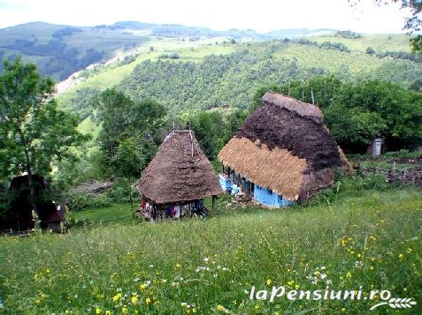 Pensiunea Aranyos - accommodation in  Apuseni Mountains (Surrounding)