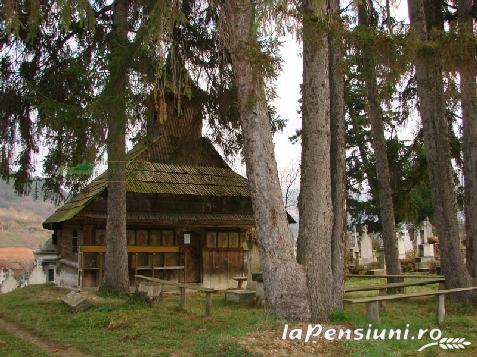 Pensiunea Iedera - accommodation in  Apuseni Mountains, Transalpina (Surrounding)