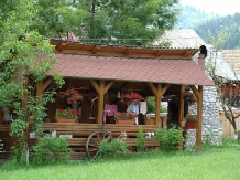 Pensiunea Aurora - accommodation in  Apuseni Mountains, Motilor Country, Arieseni (16)
