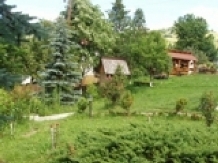 Pensiunea Aurora - accommodation in  Apuseni Mountains, Motilor Country, Arieseni (22)