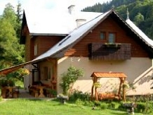 Pensiunea Aurora - accommodation in  Apuseni Mountains, Motilor Country, Arieseni (25)