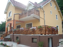Pensiunea Casa Lucas - accommodation in  Sibiu Surroundings (02)