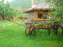Pensiunea Casa Lucas - accommodation in  Sibiu Surroundings (04)