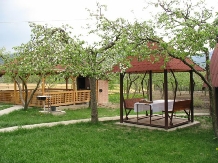 Pensiunea Magnolia - accommodation in  Ceahlau Bicaz (03)