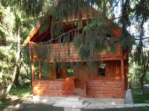 Cabana Dacilor - accommodation in  Apuseni Mountains, Belis (01)