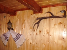 Cabana Dacilor - accommodation in  Apuseni Mountains, Belis (03)