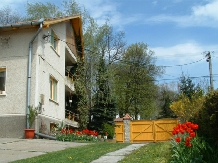 Casa Szakacs - accommodation in  Harghita Covasna (15)
