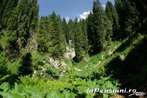 Pensiunea Mariana - accommodation in  Apuseni Mountains, Belis (Surrounding)