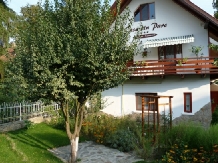 Casa din Parc - accommodation in  Harghita Covasna (06)