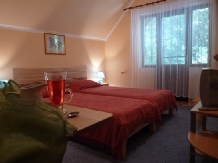 Casa din Parc - accommodation in  Harghita Covasna (08)