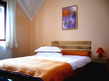Casa din Parc - accommodation in  Harghita Covasna (11)