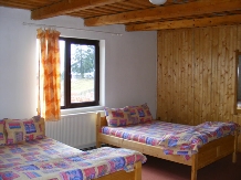 Pensiunea Rom Concord - accommodation in  Apuseni Mountains, Belis (06)