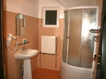 Casa Domneasca - accommodation in  North Oltenia (27)