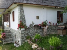 Pensiunea D&D - accommodation in  North Oltenia (06)