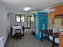 Pensiunea Ciobanelu - accommodation in  Olt Valley, Voineasa, Transalpina (17)