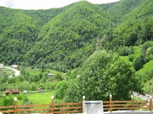 Pensiunea Garvis - cazare Valea Oltului, Voineasa (04)
