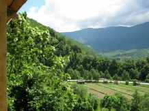 Pensiunea Garvis - alloggio in  Valea Oltului, Voineasa (10)