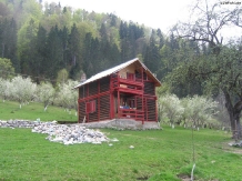 Rural accommodation at  Pensiunea La Sandel