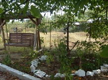 Pensiunea Magnolia - accommodation in  North Oltenia (03)