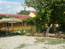 Pensiunea Magnolia - accommodation in  North Oltenia (07)