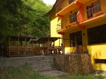 Pensiunea Trei Brazi - alloggio in  Valea Oltului (05)