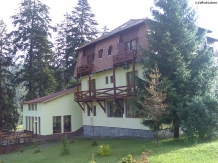 Pensiunea Transilvania - accommodation in  Harghita Covasna, Tusnad (06)