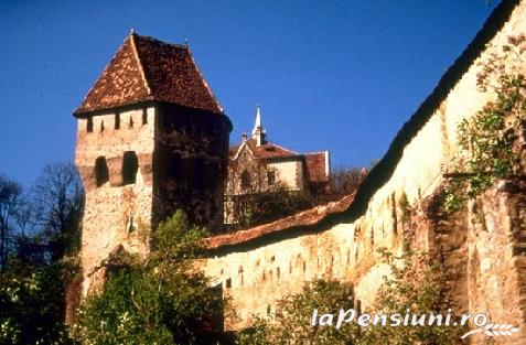 Pensiunea Denisa - alloggio in  Transilvania (Attivit&agrave; e i dintorni)